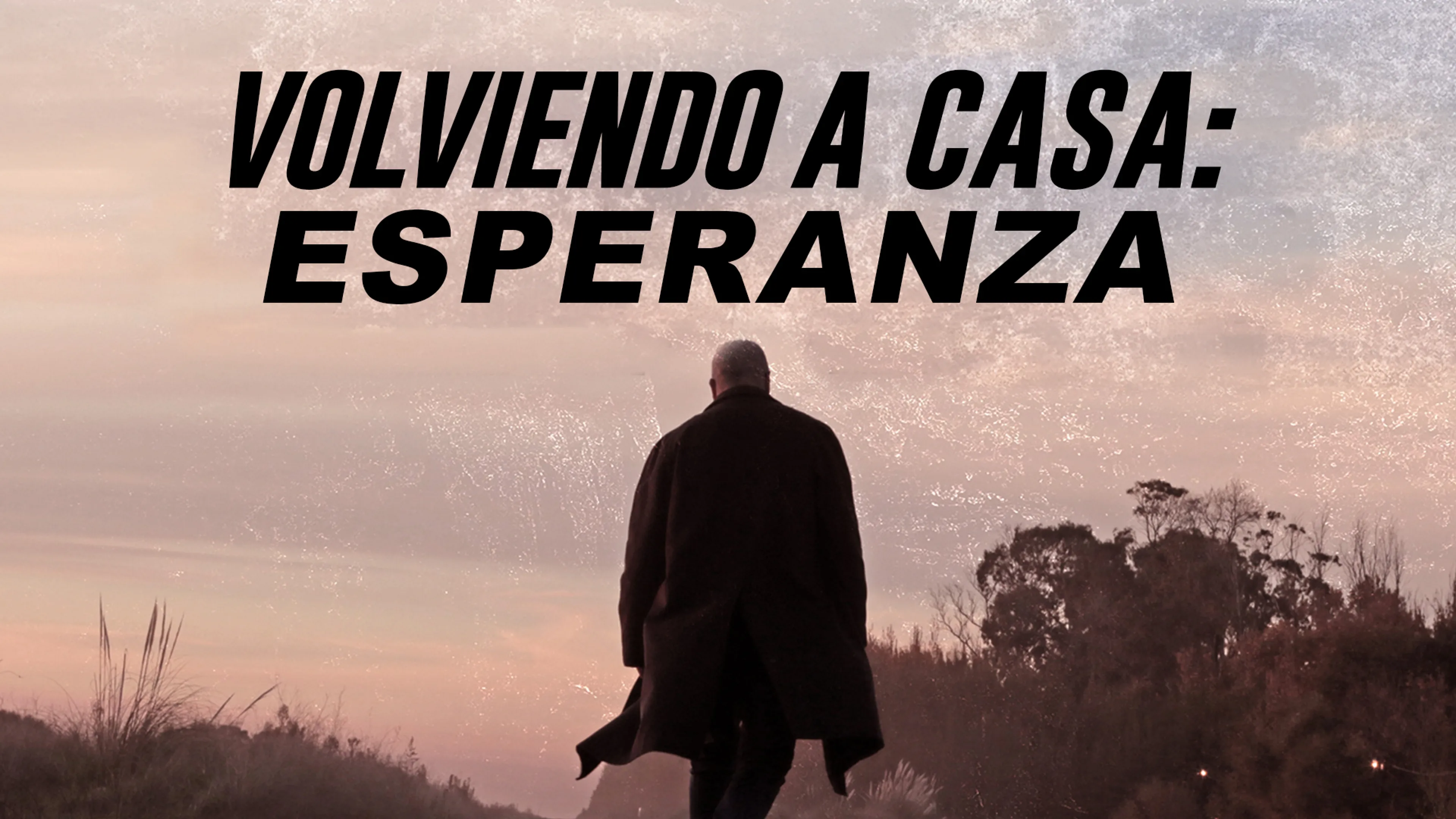 Volviendo a Casa: Esperanza poster